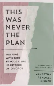 This Was Never the Plan
