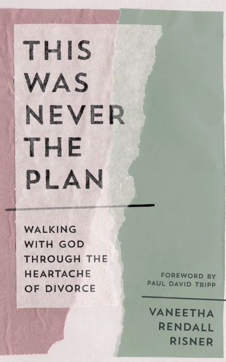 This Was Never the Plan