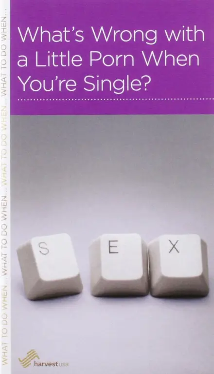 What’s Wrong with a Little Porn When You’re Single?