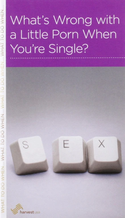 What’s Wrong with a Little Porn When You’re Single?