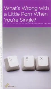 What’s Wrong with a Little Porn When You’re Single?