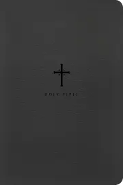 NLT Large Print Premium Value Thinline Bible, Filament Enabled (LeatherLike, Black Cross)