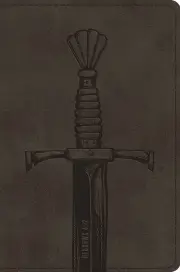 ESV Compact Bible (TruTone, Silver Sword)