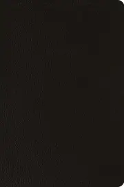 ESV Compact Bible (Buffalo Leather, Deep Brown)