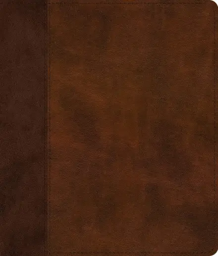ESV Journaling Bible, Red Letter Edition (TruTone, Brown/Tan, Timeless)