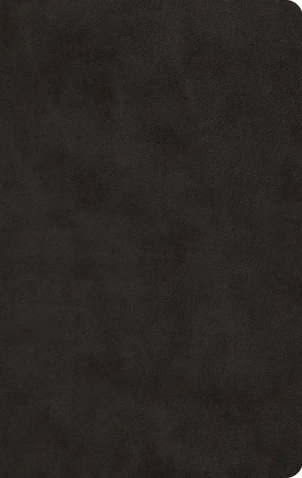 ESV Large Print Value Thinline Bible (TruTone, Black)