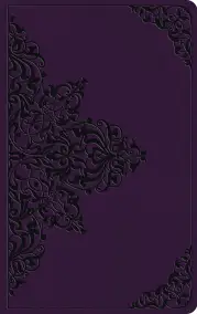 ESV Large Print Value Thinline Bible (TruTone, Lavender, Filigree)