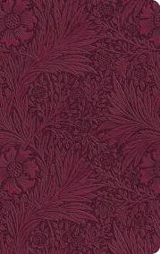 ESV Large Print Value Thinline Bible (TruTone, Raspberry, Floral)