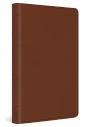 ESV Large Print Value Thinline Bible (TruTone, Camel)