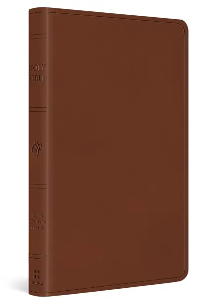ESV Large Print Value Thinline Bible (TruTone, Camel)