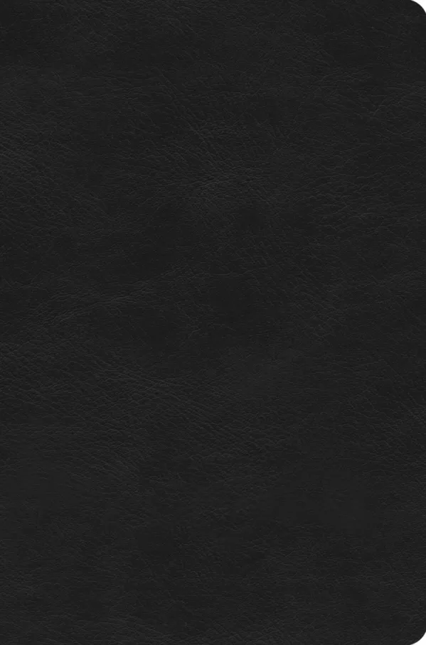 ESV Value Compact Bible, TruTone, Black