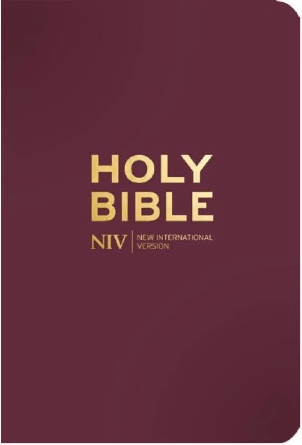 NIV Pocket Mulberry Bible with Gold Zip
