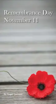 Remembrance Day (Tract 50 pack)