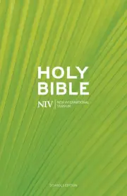 NIV Schools Bible