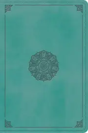 ESV Study Bible, Personal Size