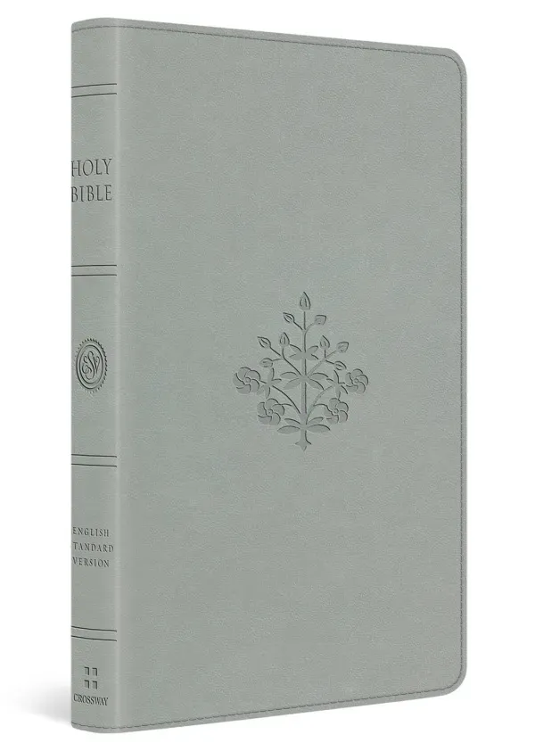 ESV Large Print Value Thinline Bible (TruTone, River Stone, Branch Design)