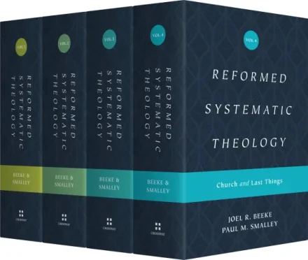 Reformed Systematic Theology Series