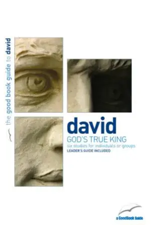 David [Good Book Guide]