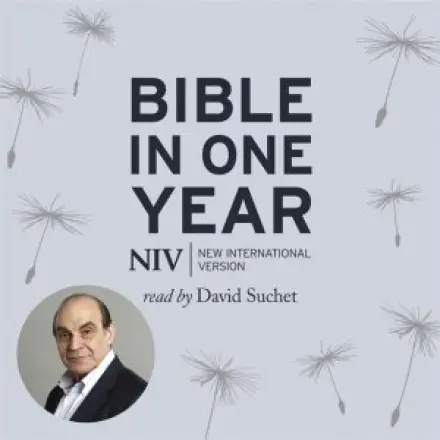 NIV Audio Bible in One Year Read by David Suchet