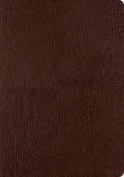 ESV Single Column Journaling Bible, Large Print