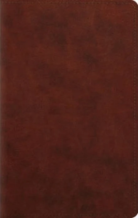 ESV Large Print Personal Size Bible (Soft leather-look, Chestnut)