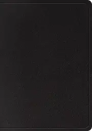 ESV Large Print Wide Margin Bible