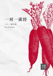 One To One Bible Reading (Chinese Edition)