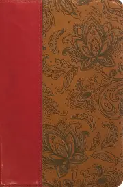 ESV Holy Bible