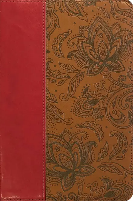 ESV Thinline Bible (Paisley Tan, Anglicised)