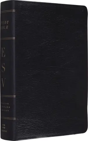 ESV Study Bible, Personal Size