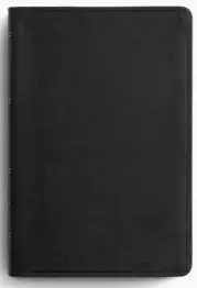 ESV Large Print Thinline Reference Bible