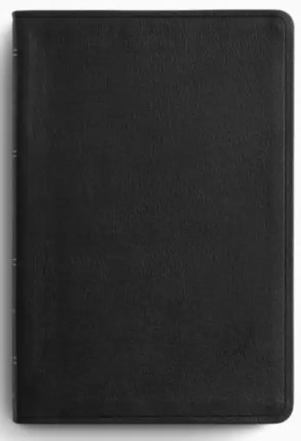ESV Large Print Thinline Reference Bible (Genuine Leather, Black)