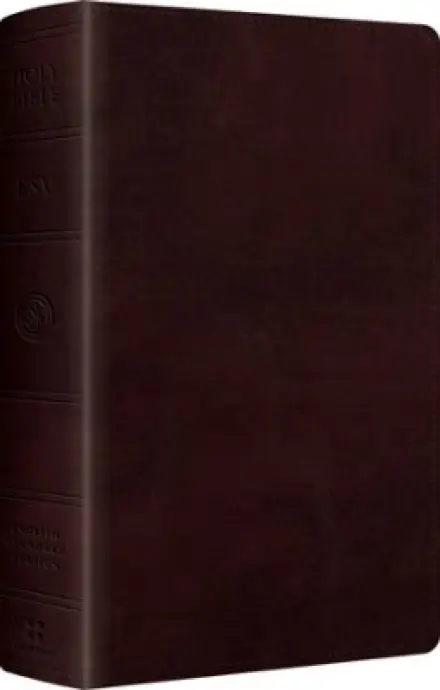 ESV Large Print Personal Size Bible